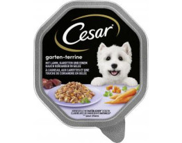 Cesar Garten-Terrine mit Lamm, Karotten und Koriander in Gelee