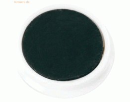 Alco Haftmagnet Metall Kunststoff 13mm TG 100 g weiß VE=10 Stück
